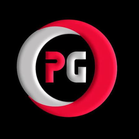PG接口6